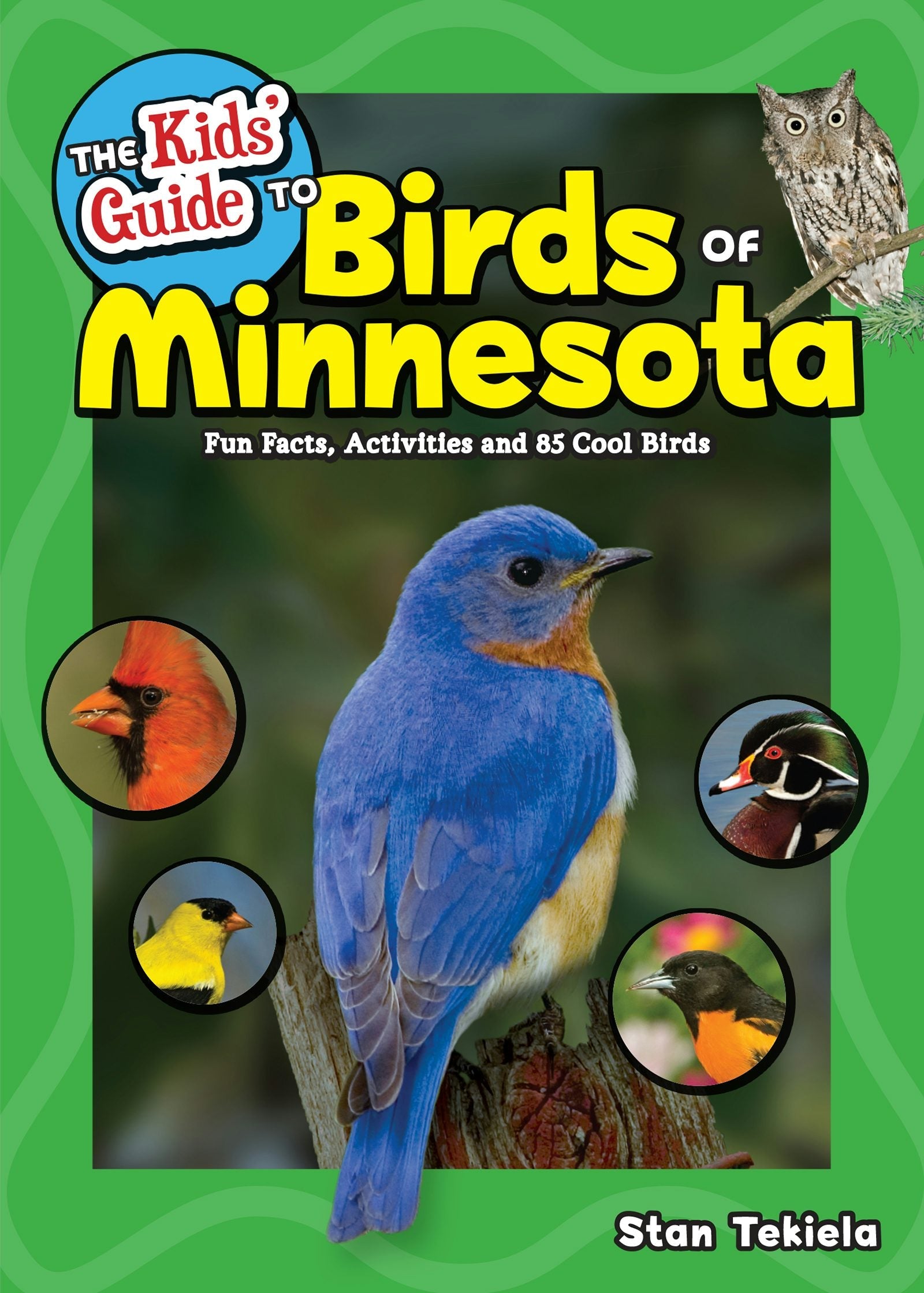 Book cover image for The Kids' Guide to Birds of Minnesota ISBN: 9781591937869